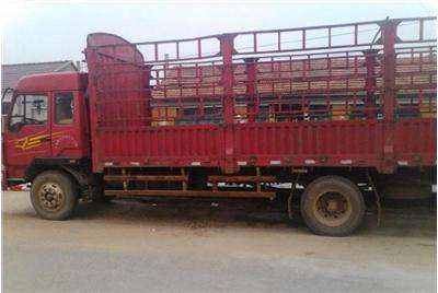 惠陽至金門17米平板車出租，專業貨物運輸解決方案